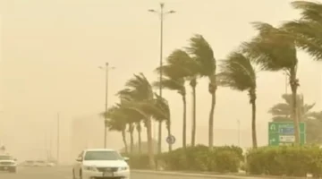 شبورة وأمطار.. تحذيرات من طقس غدًا في القاهرة ومناطق متعددة والصغرى تصل لـ21 درجة